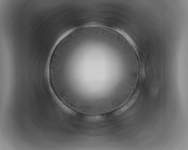 X0000113870957200909241329