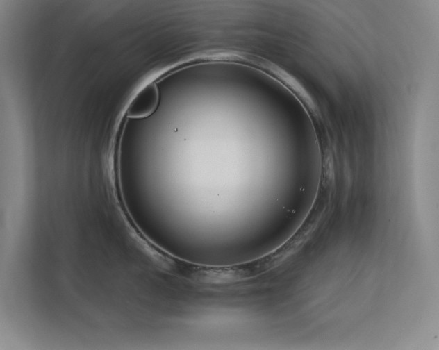 X0000113870959200909241329