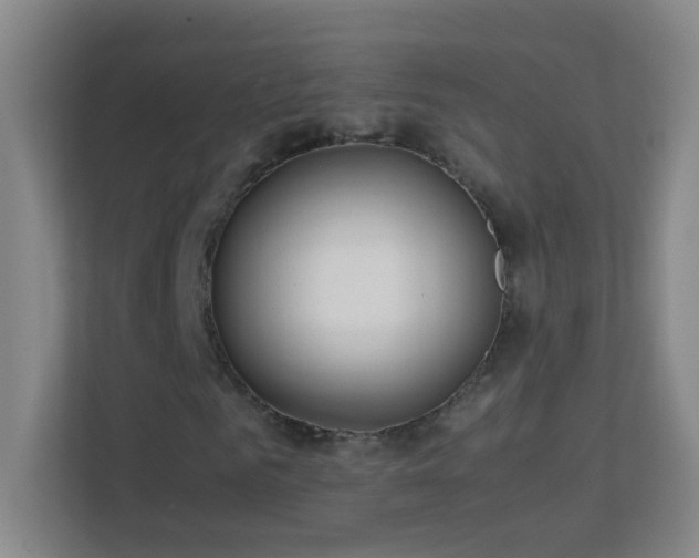 X0000113870961200909241329