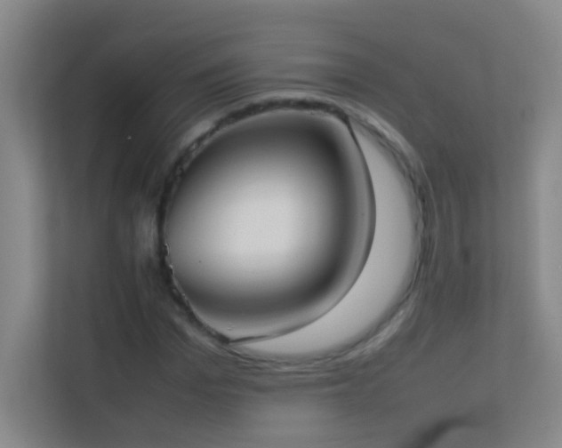 X0000113870969200909241329