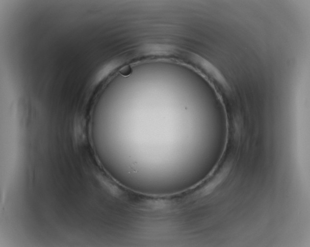 X0000113870970200909241329
