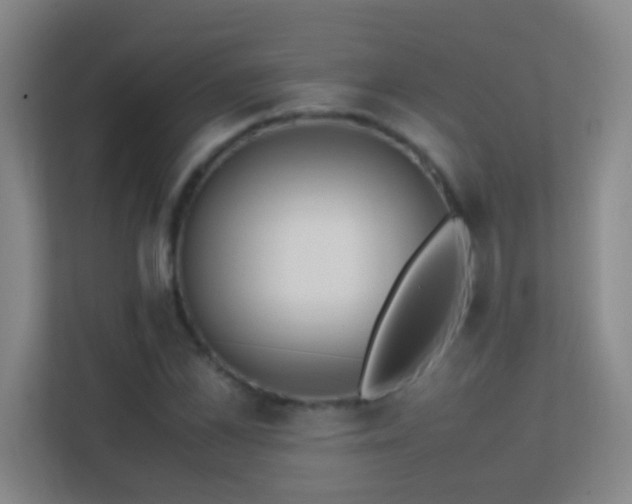 X0000113870973200909241329