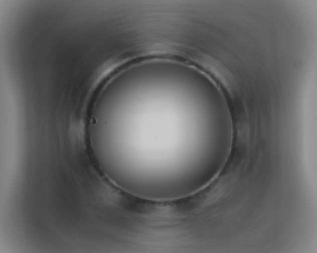 X0000113870975200909241329