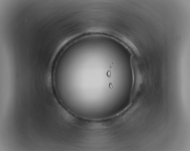 X0000113870976200909241329