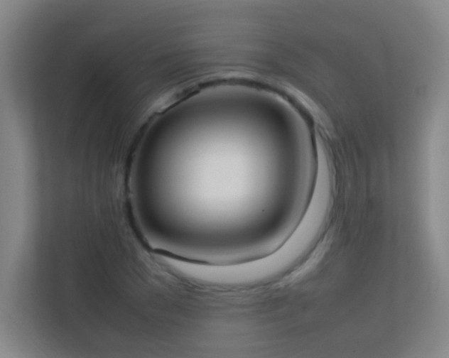 X0000113870977200909241329
