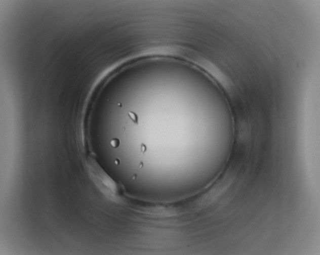 X0000113870980200909241329