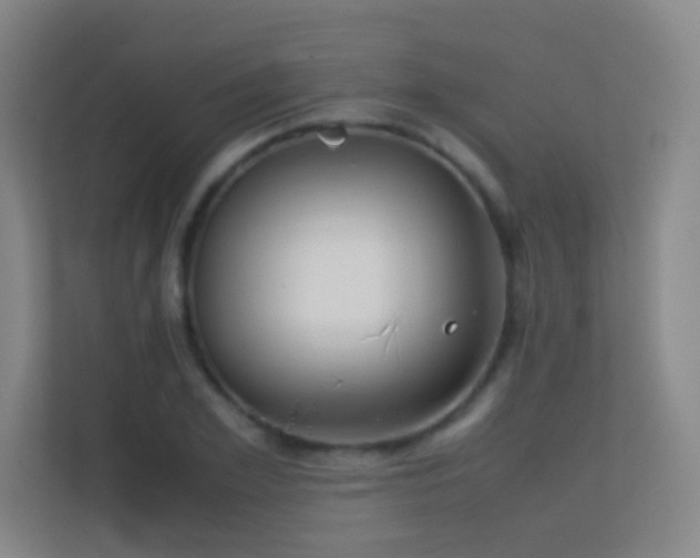 X0000113870981200909241328