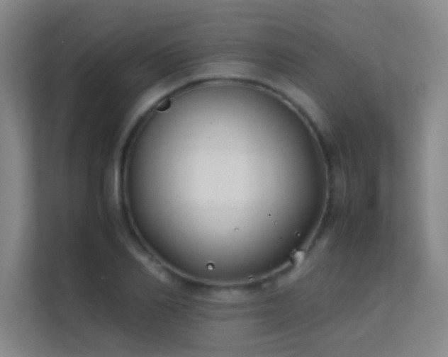 X0000113870982200909241328