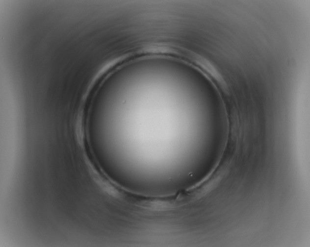 X0000113870984200909241328