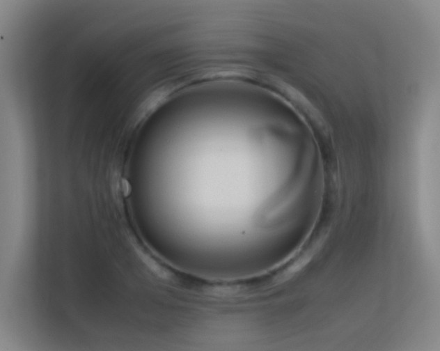 X0000113870985200909241328