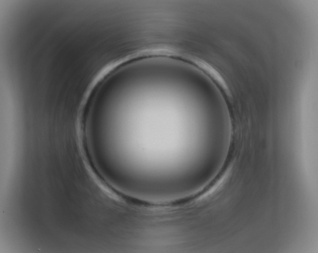 X0000113870989200909241328