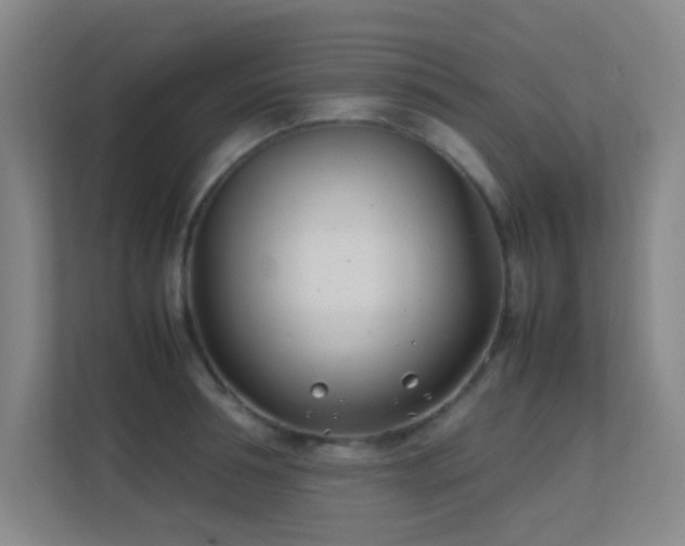 X0000113870994200909241328
