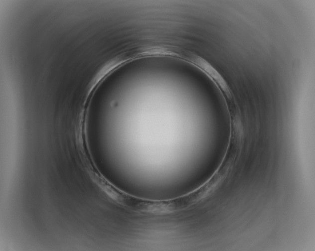 X0000113871002200909241328
