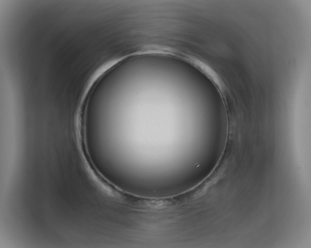 X0000113871003200909241328