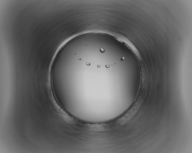 X0000113871004200909241328