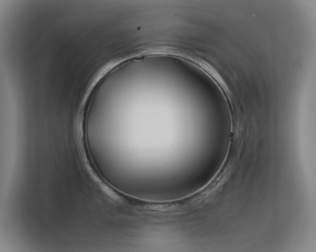 X0000113871005200909241328