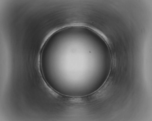 X0000113871006200909241328