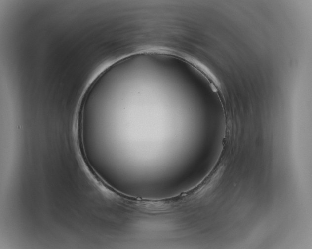 X0000113871007200909241328