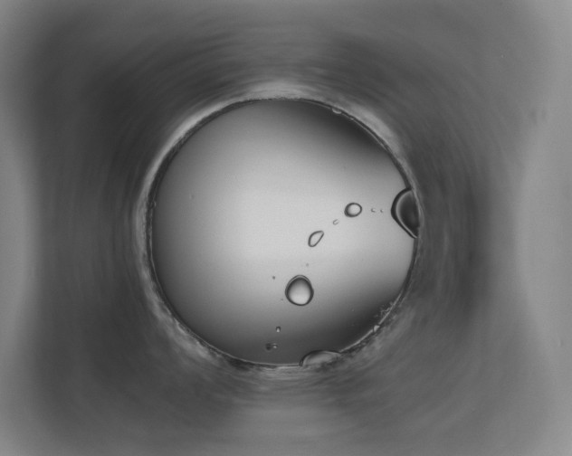 X0000113871008200909241328
