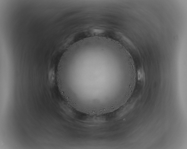 X0000113871011200909241328