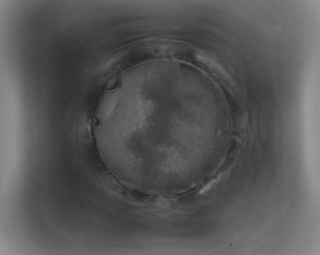 X0000113871013200909241328