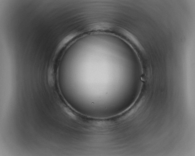 X0000113871018200909241328