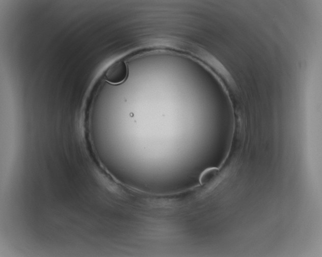 X0000113871020200909241328