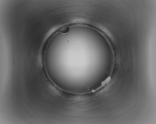 X0000113871022200909241328