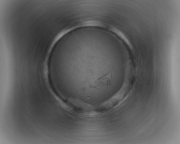 X0000113871024200909241328