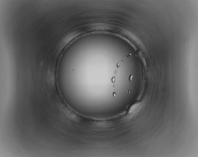 X0000113871025200909241328