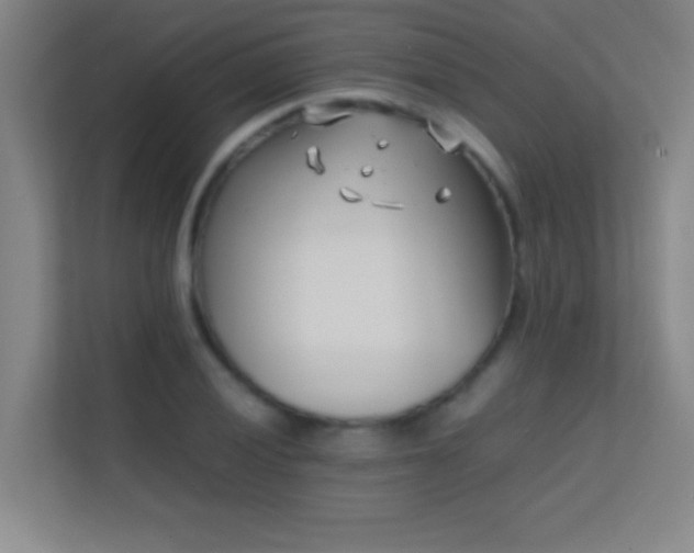 X0000113871028200909241328