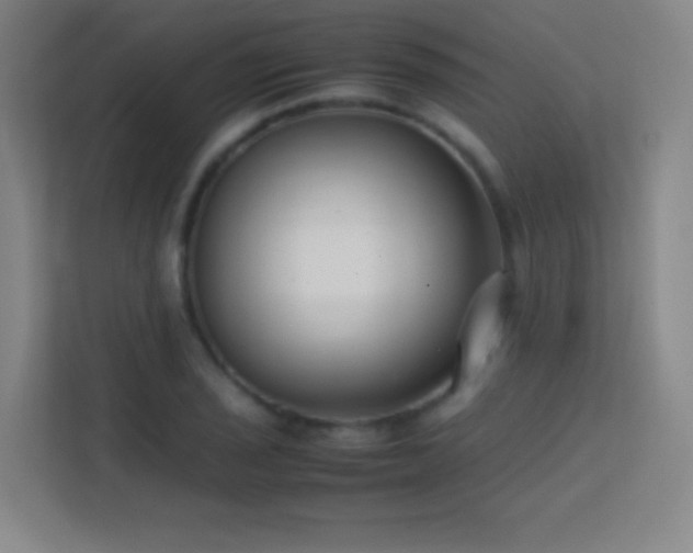 X0000113871029200909241328