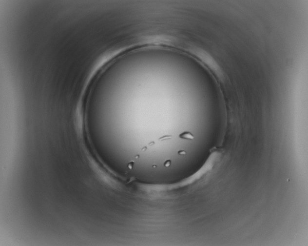 X0000113871032200909241328