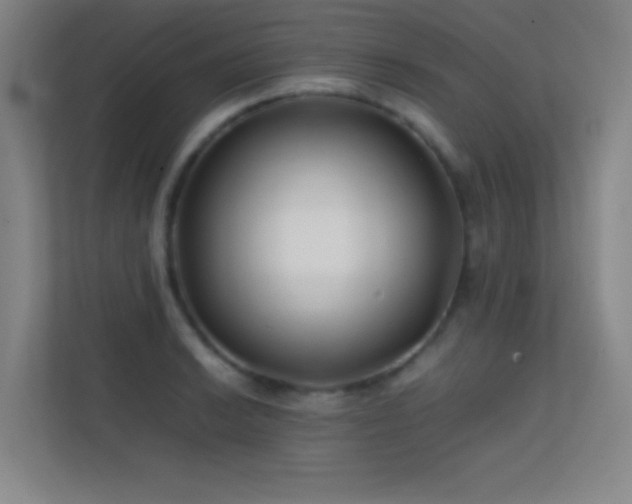 X0000113871038200909241328