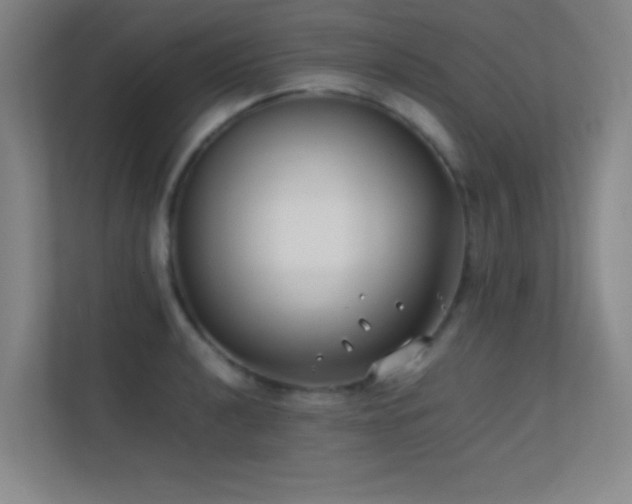 X0000113871040200909241328
