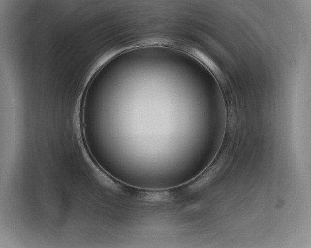 X0000113871055200909241328