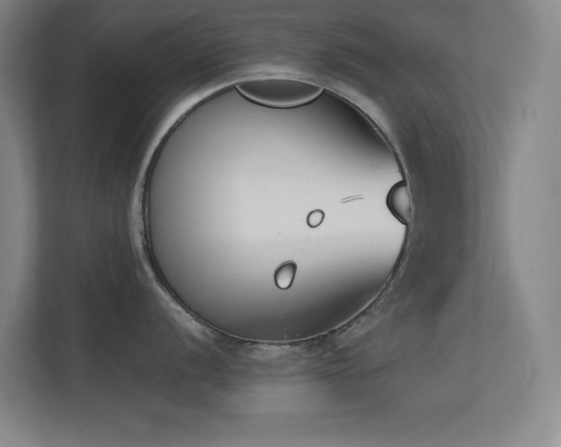 X0000113871056200909241328