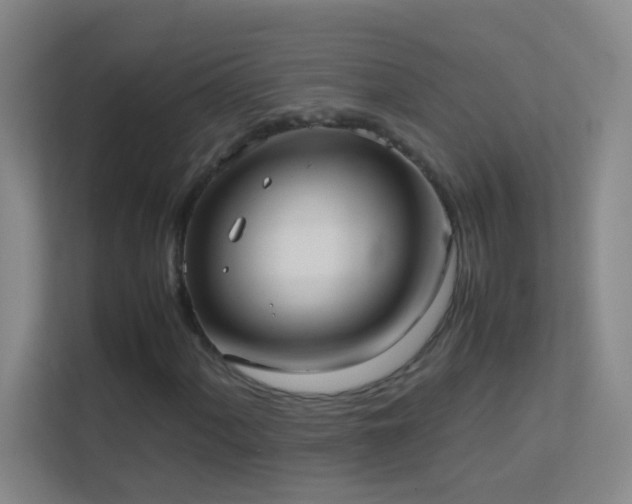 X0000113871060200909241327