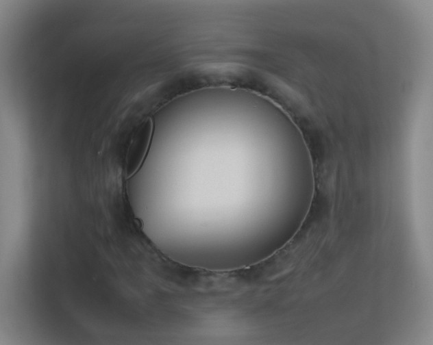 X0000113871061200909241327