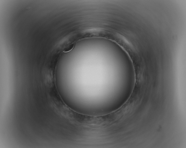 X0000113871062200909241327