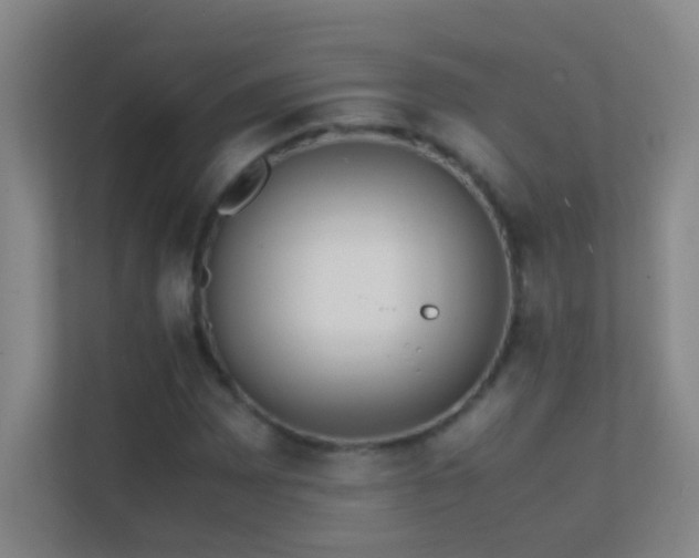 X0000113871065200909241327