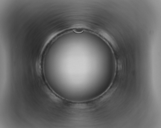 X0000113871068200909241327