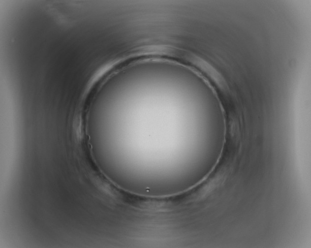 X0000113871069200909241327