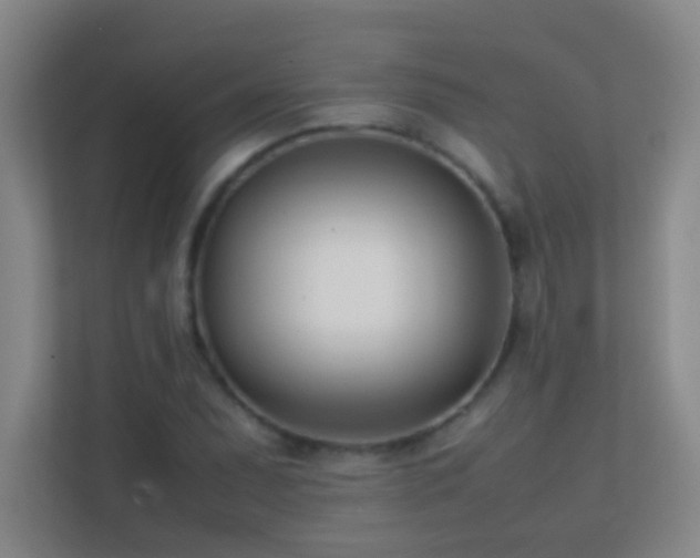 X0000113871071200909241327