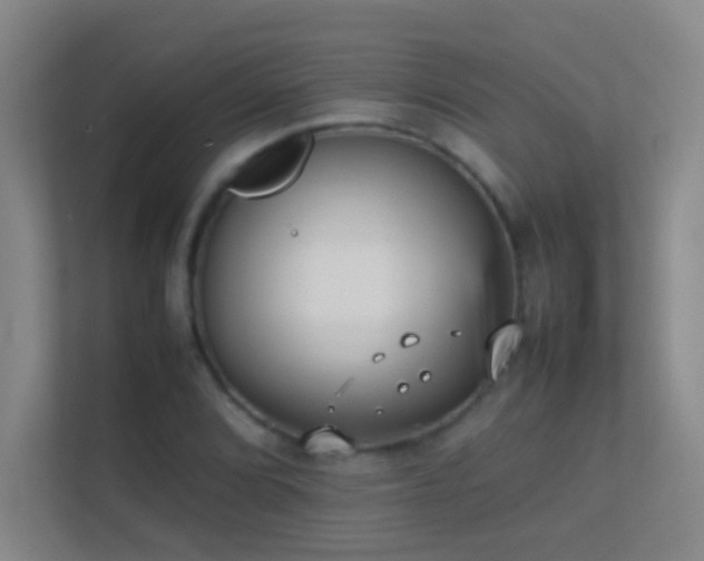 X0000113871072200909241327