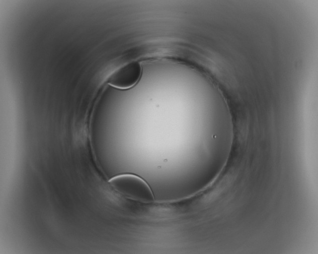 X0000113871073200909241327