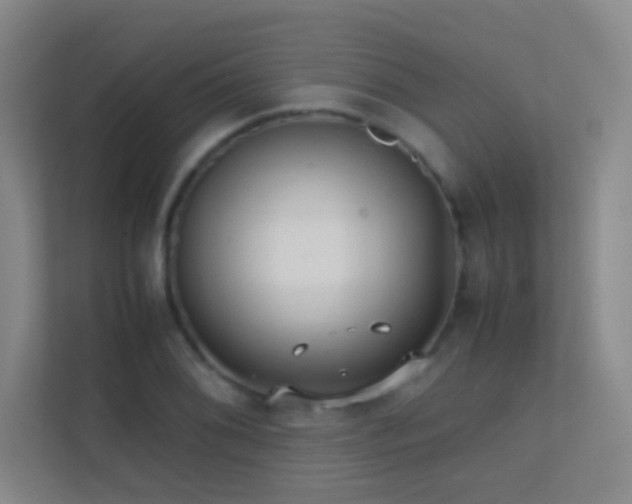 X0000113871076200909241327