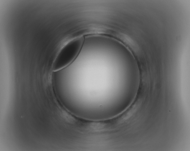 X0000113871081200909241327