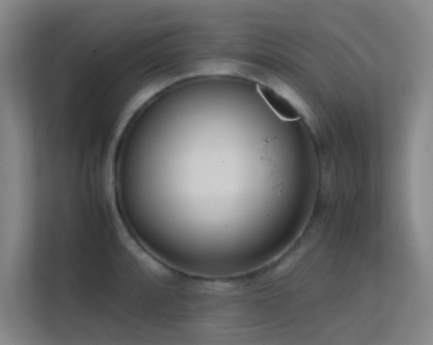 X0000113871088200909241327