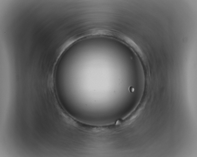 X0000113871089200909241327